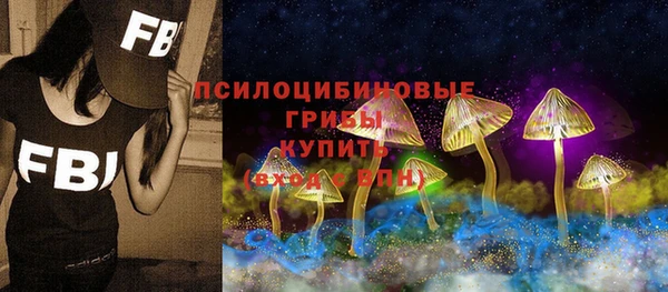 ПСИЛОЦИБИНОВЫЕ ГРИБЫ Инта