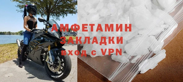 ПСИЛОЦИБИНОВЫЕ ГРИБЫ Инта