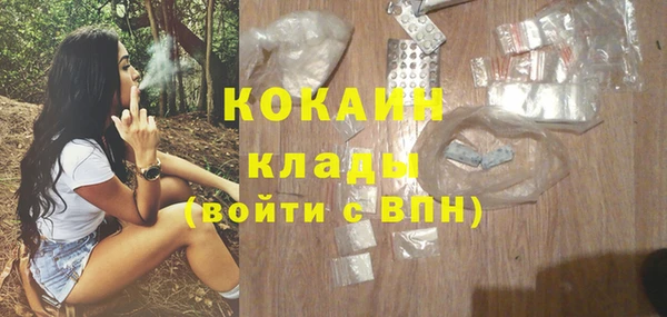 ПСИЛОЦИБИНОВЫЕ ГРИБЫ Инта