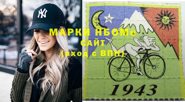 индика Каменногорск