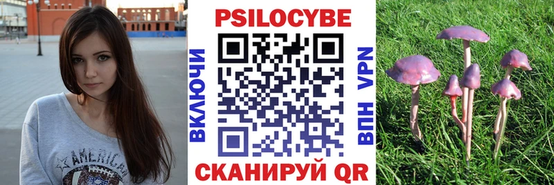 Купить где  Искитим  Псилоцибиновые грибы Magic Shrooms 